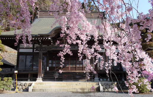 龍光山 梅岩寺