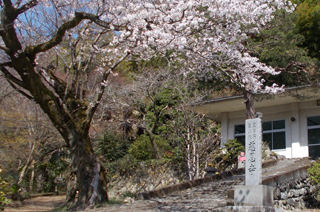 横尾山 慈恩寺