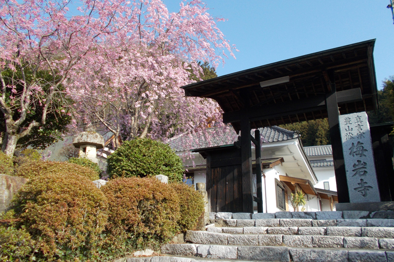 梅岩寺